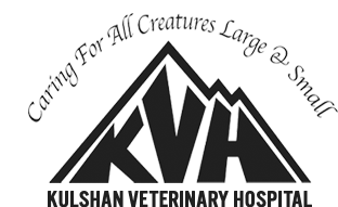Kulshan Veterinary Hospital Lynden, Washington